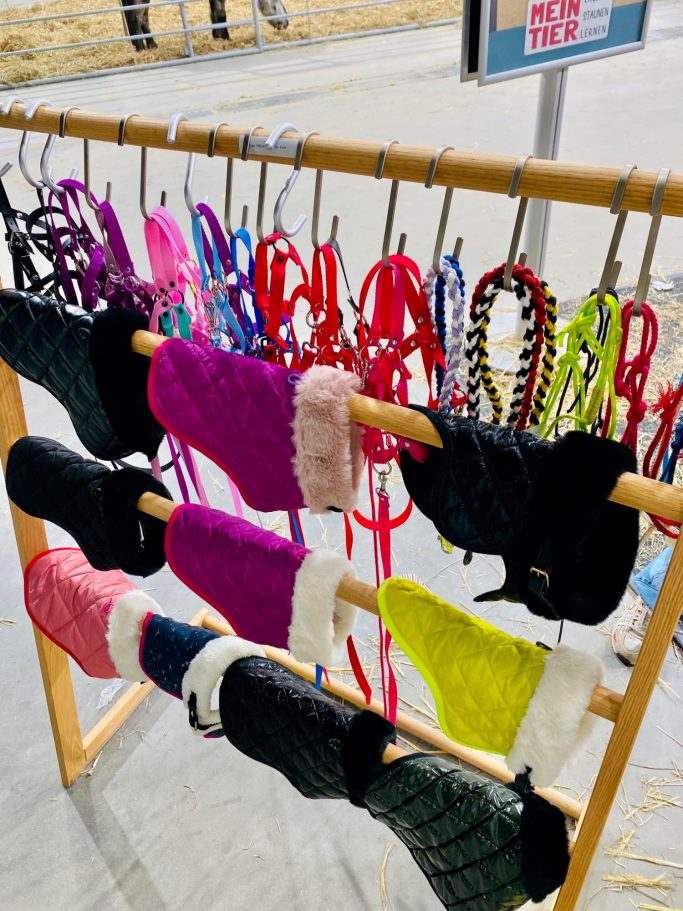 Decke Orlanda, Halfter und Trensen