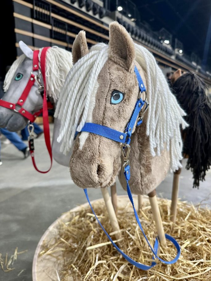 Cuddly taupe GR.S, Halfter "Isaak" blau Zügel