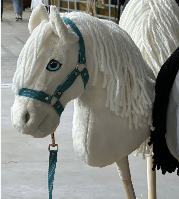 Cuddly Wolke creme Gr.S,Halfter "Isaak" Türkis Führstrick